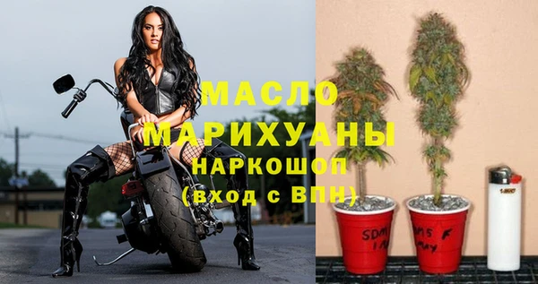 тгк Новодвинск
