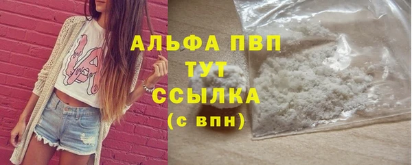 тгк Новодвинск